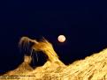 Lluna vermella - Sant Llorenç