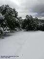 Neu pols a la Serra